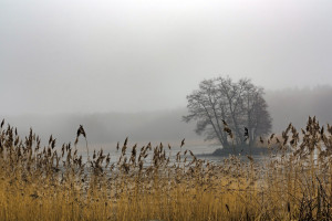 巅峰对决!ESL积分榜名副其实的强强碰撞,不容错过!